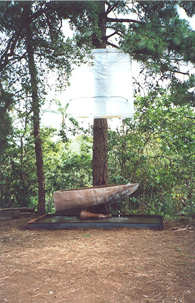 Meditations on Migrations:  Prayers by Andries Botha