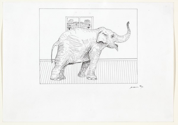 Elephant in a Karoo landscape by Andries Botha