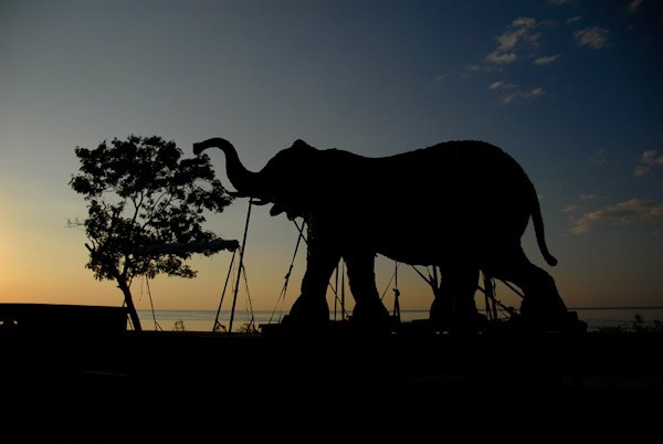 Nomkhubulwane by Andries Botha