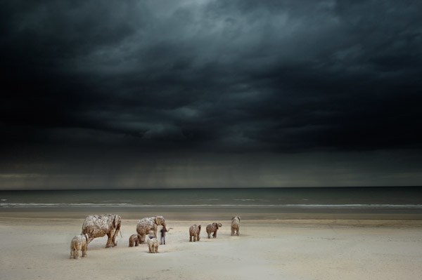 You can buy my heart and my soul  by Andries Botha