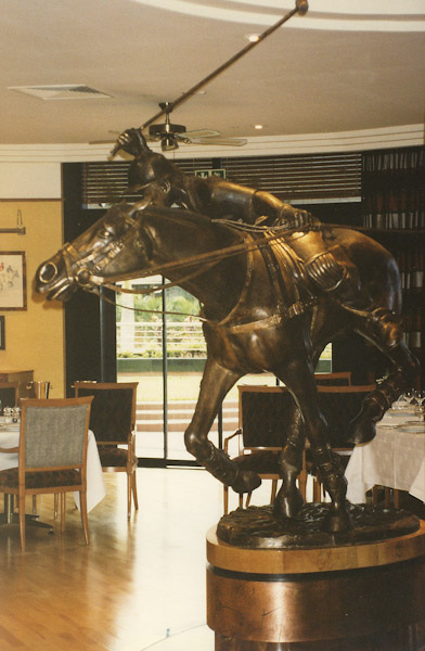 Polo Pony, Hilton, Durban, South Africa from Andries Botha