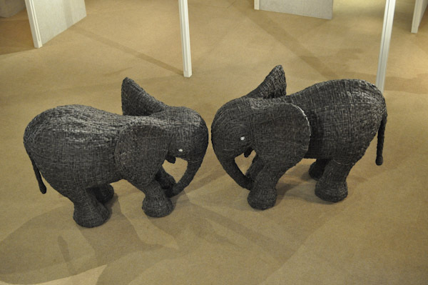 Human Elephant Foundation of Andries Botha