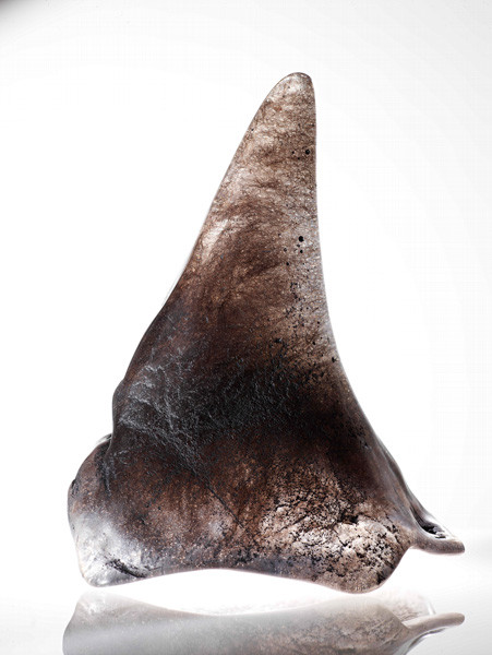 Rhino horn Andries Botha