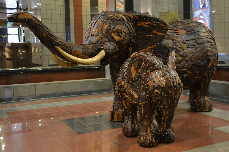 primary-visual-of-both-reserve-bank-elephants
