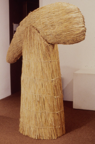 Journey through Time  by Andries Botha